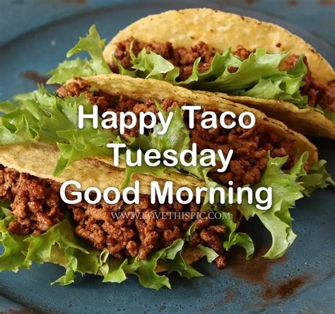 good morning happy taco tuesday nude